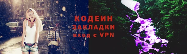 дурь Алексин