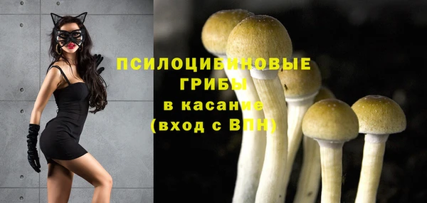 дурь Алексин