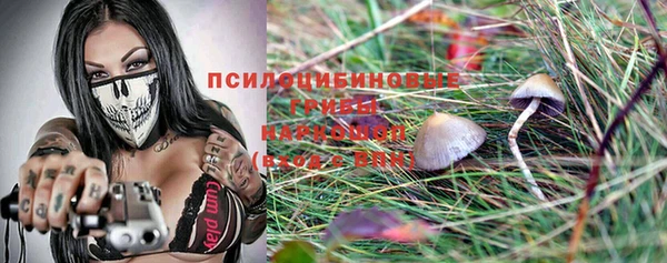 дурь Алексин